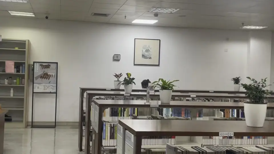 日常空间