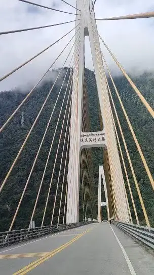 通麦桥梁 · 斜拉桥